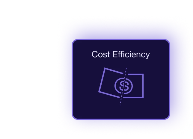 cost efficiency